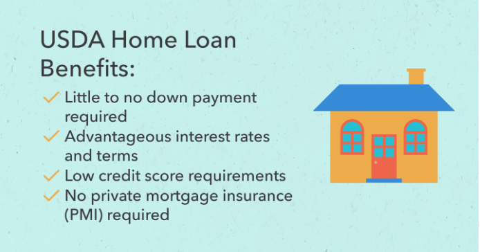 USDA 100% HOME LOAN PROGRAMS